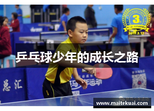 乒乓球少年的成长之路